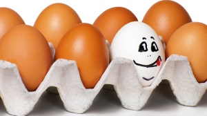 eggs-with-personality